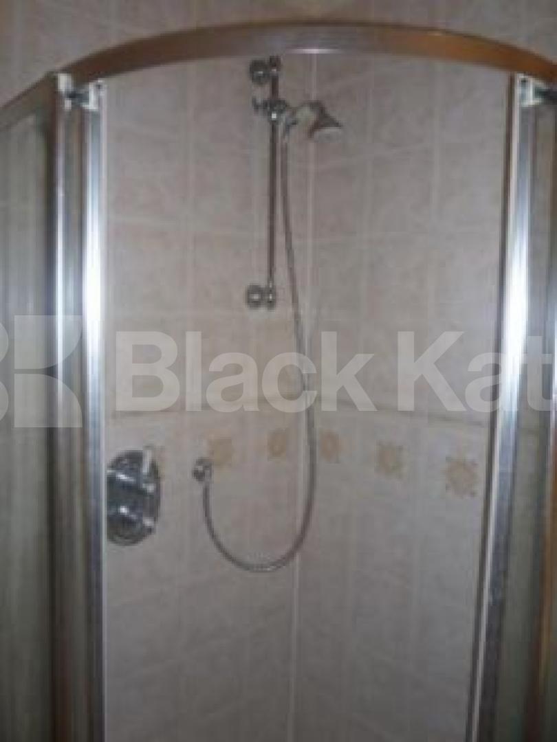 			1 Bedroom, 1 bath, 1 reception Flat			 Pages Lane, MUSWELL HILL N10